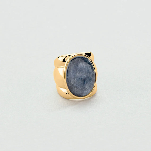 Anillos Salvatore Plata y Agatha Paris